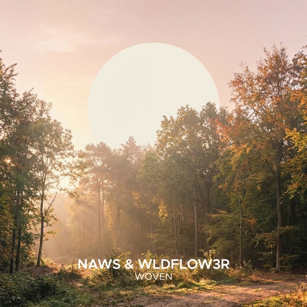 Naws & WLDFLOW3R — Woven